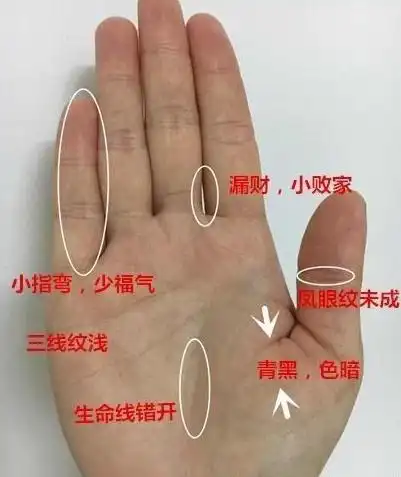 感情线上呈现岛纹,岛纹呈现在无名指下方或中指下方,有时也呈现在感情