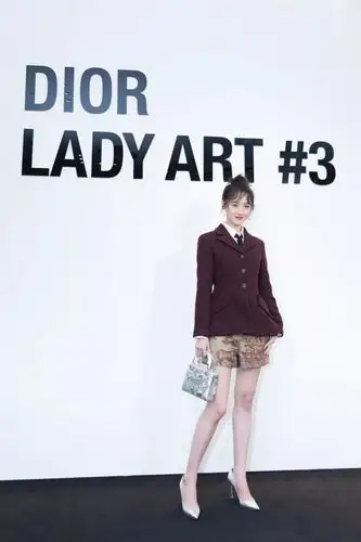 diorladyart3艺术家限量合作系列揭幕酒会星光熠熠