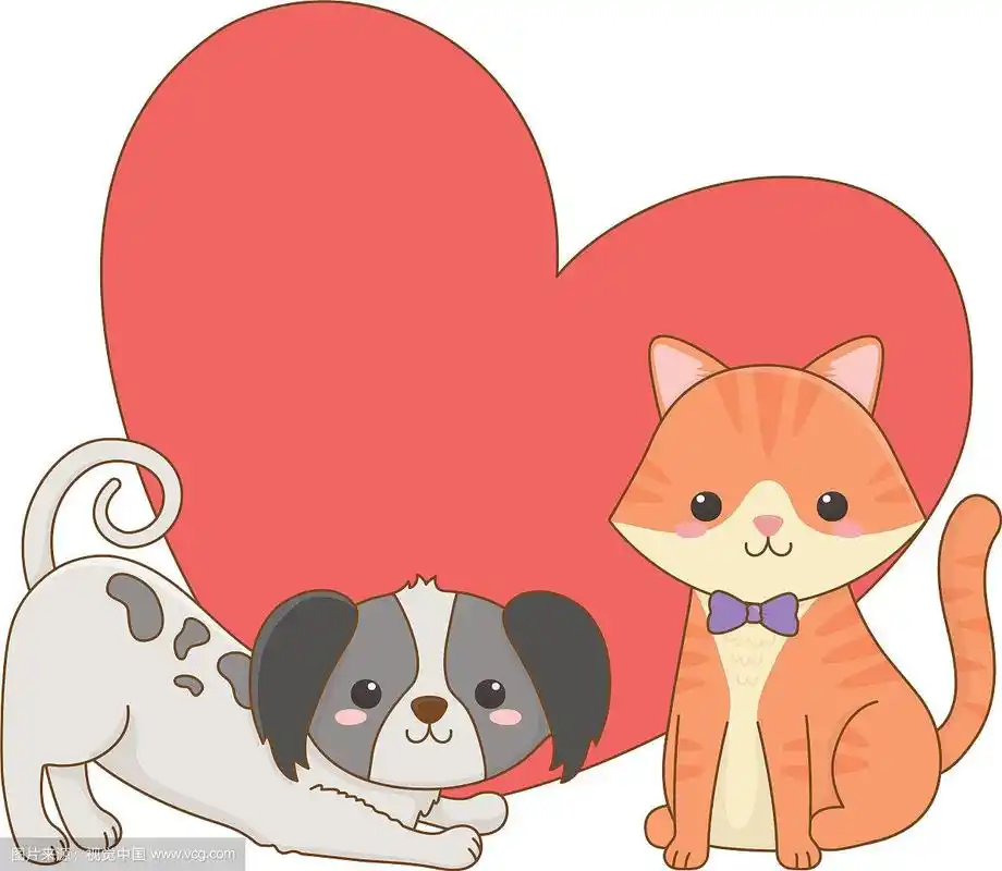 孤立的猫狗卡通设计