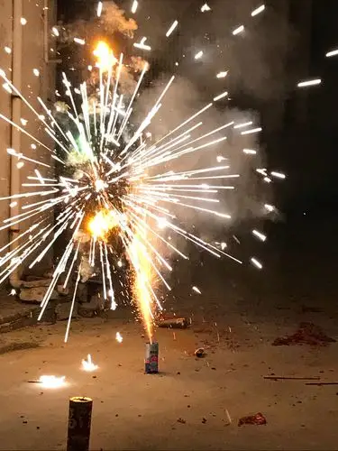 牛年之欢乐除夕放烟花