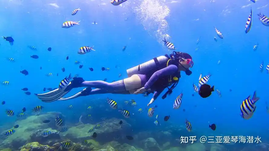 三亚旅行潜水为什么选亚龙湾附最强潜水攻略详细版