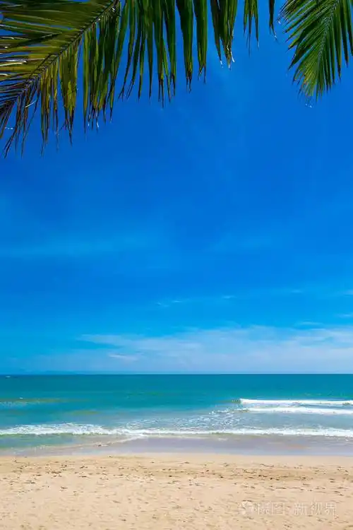 热带海滩上阳光灿烂的日子