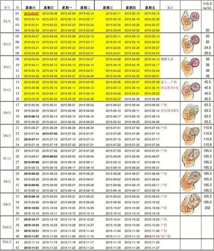怀孕40周胎儿发育每日,周,月情况表-新版