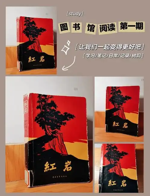 书名:《红岩》 作者:张益言,罗广斌 简介:这是一本令人热血沸腾的书籍