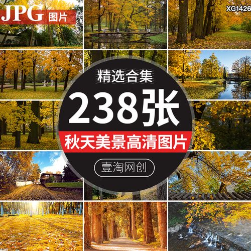 秋季秋天深秋红叶银杏枫叶落叶树林小路道路自然美景风景高清图片