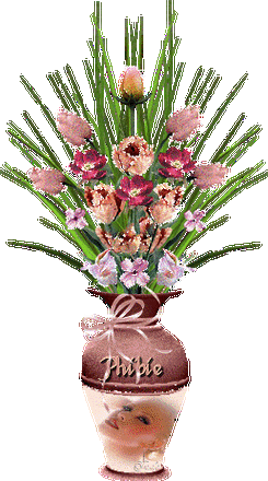 闪闪滴花瓶!【多图】 - 无为居士 - 无为斋