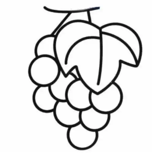 葡萄简笔画最简单