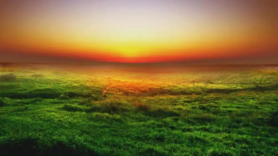 绿油油的草坪,高清图片,电脑桌面-壁纸族