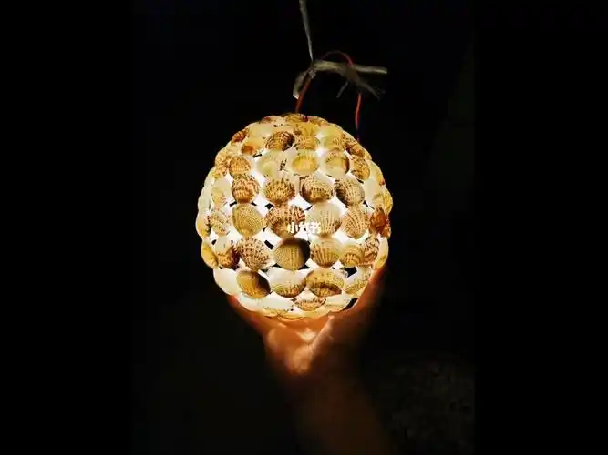 diy贝壳灯