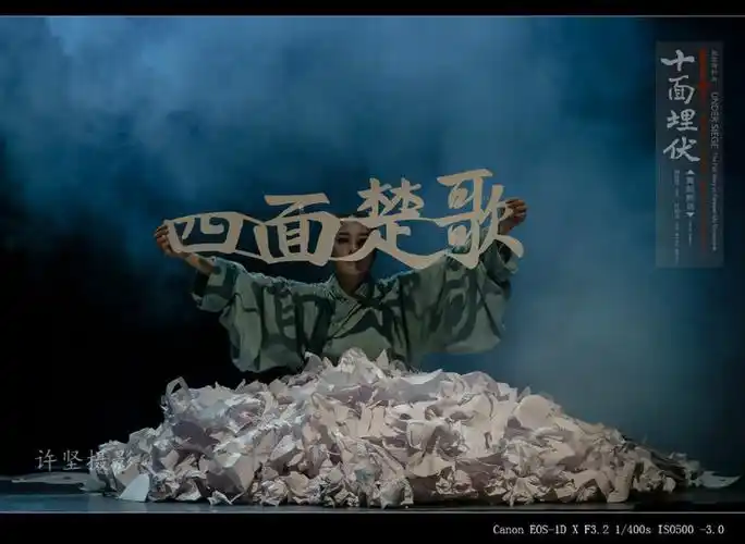 杨丽萍舞剧《十面埋伏》(11-09)