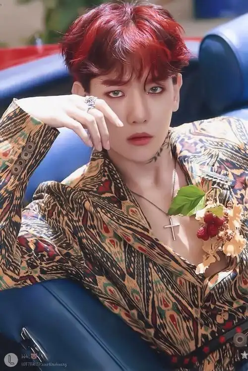 想求一个边伯贤是毒枭的橙光游戏