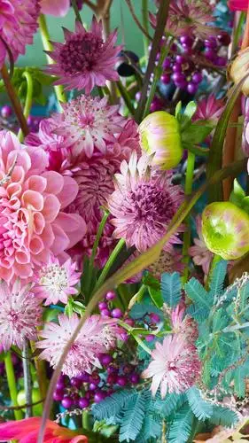 唯美的图片总能带来美好的心情