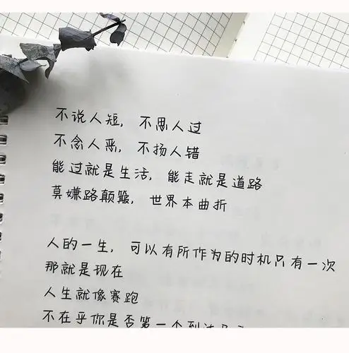 奶酪牛奶体字帖女生漂亮手写字体大学生速成网红神仙练字字体临摹