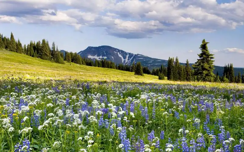 唯美秀丽自然风景图片电脑壁纸,风景壁纸,唯美,护眼,高清,清新,蓝天