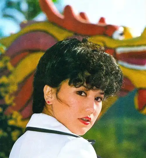 邵音音邵音音的香江往事