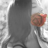 急求一对黑白情侣头像,都带有玫瑰,男的蒙着眼睛,男款已有,求与之对应