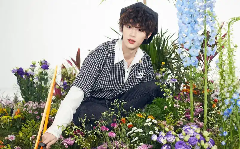 分享一组丁程鑫图片给大家,图中的明星图片壁纸会点缀你的电脑桌面