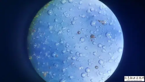 绝杀赝品——瓷器死亡气泡鉴定方法