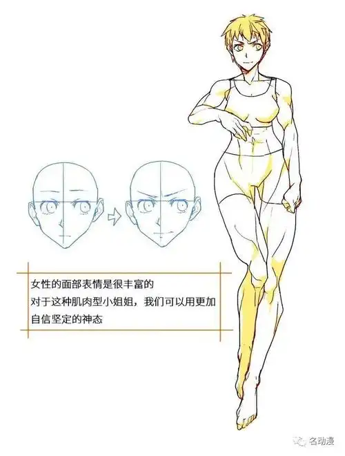 怎么绘画肌肉型的女生