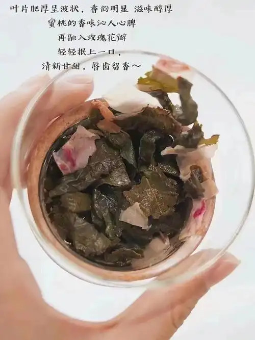 白桃乌龙茶好喝肥油咔咔掉养成素颜脸