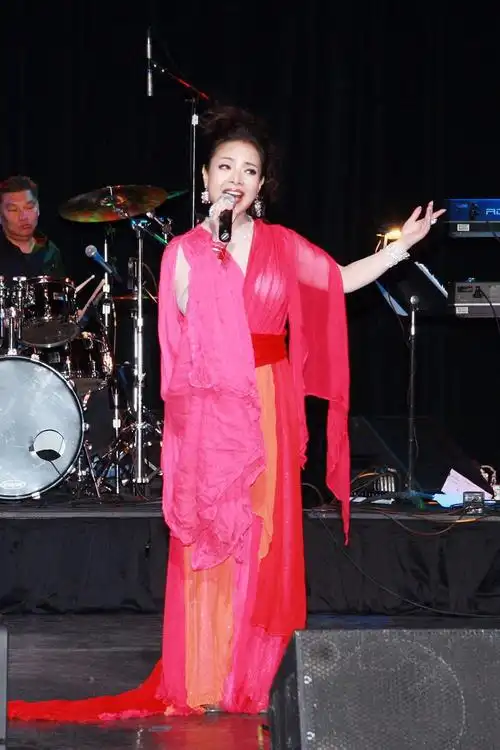 湖北歌手陈涓演唱会轰动美国内华达州