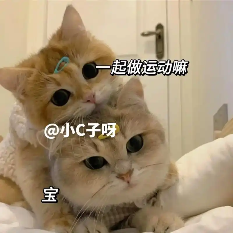 一起做运动鸭.#猫咪表情包 #情侣表情包 #每帧表情包 #图 - 抖音