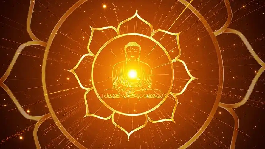 4k大佛金色莲花旋转背景视频素材金莲花背景