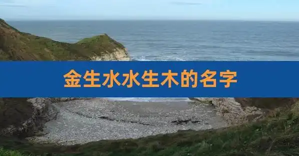 金生水水生木的名字