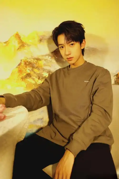 贺峻霖休闲卫衣温柔魅力写真,帅哥男生-可爱美图