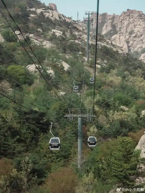 春游季##嗨拍崂山##花海青岛恣在生活