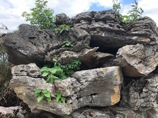 清镇公园天然鹅卵石假山造景厂家