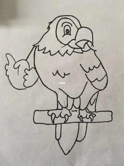 猫头鹰01简笔画