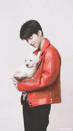 王俊凯养宠物被发现了!是只狗,并且还是粉丝见过的,好有爱心