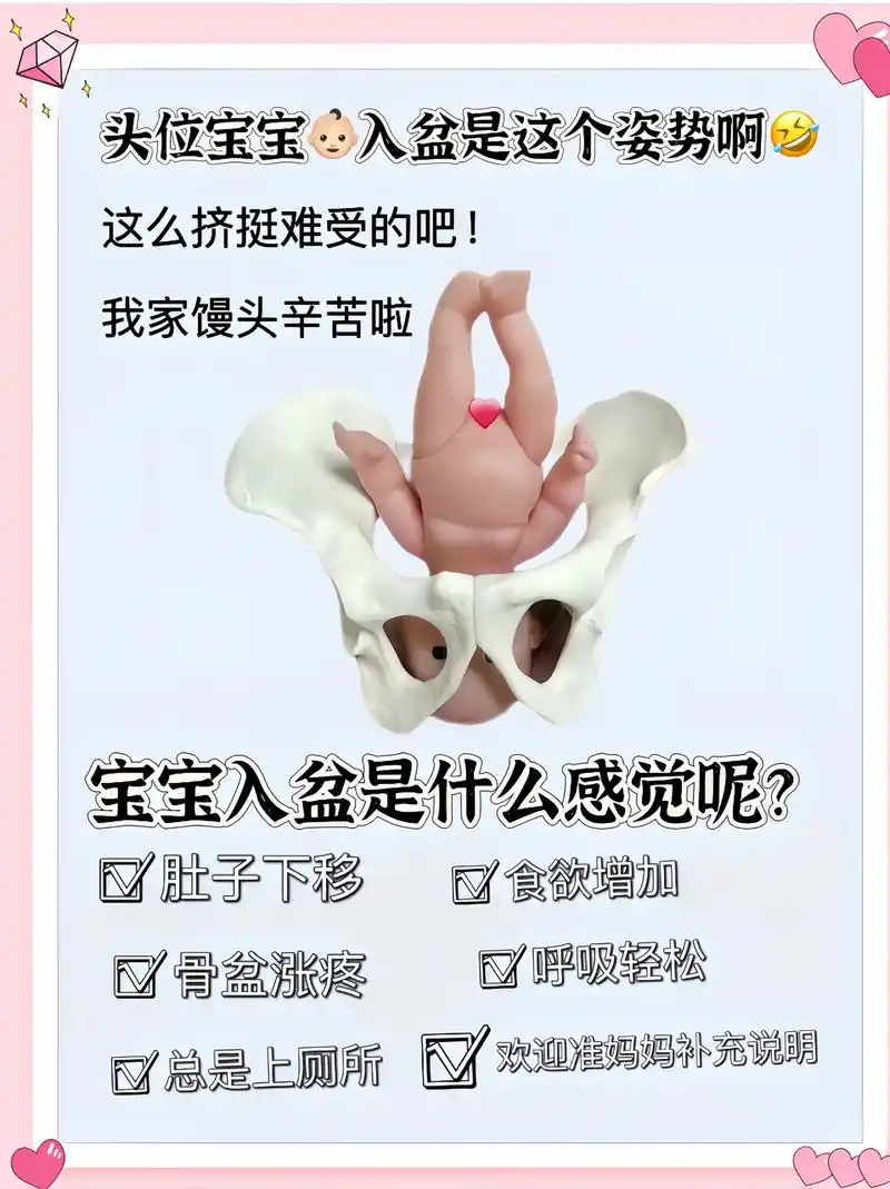 原来宝宝入盆是这个样子!感觉好辛苦啊!这么拥挤挺难受的吧