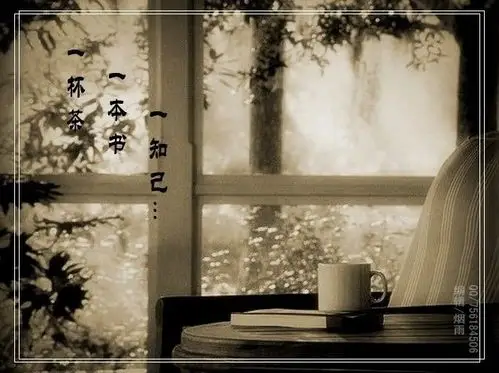 一杯茶一本书一知己