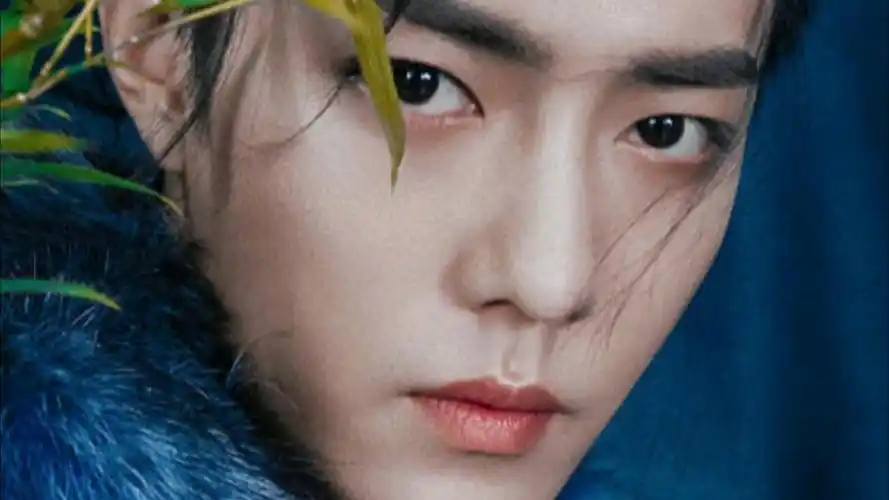 看看芭莎那些年在肖战身上拍出的意境