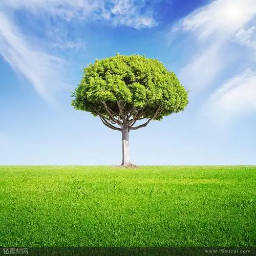 蓝天下的大树和绿草地高清图片