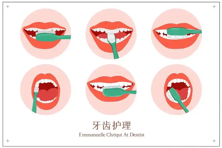 2.掌握刷牙的正确方法