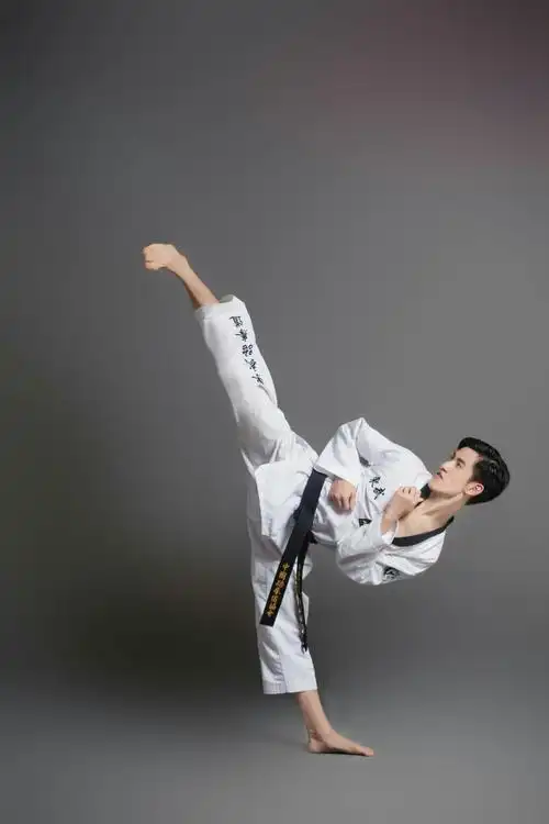 互相交流,学习,还跟韩国虎队,加温努力道馆交流学习