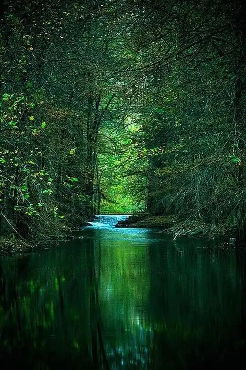 为什么多看绿色的东西对眼睛好