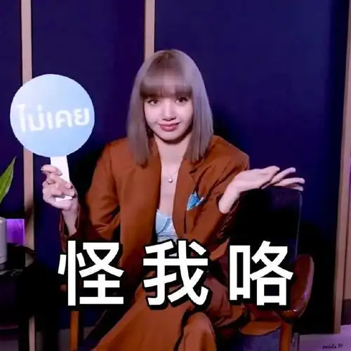 表情包lisa最新沙雕系列