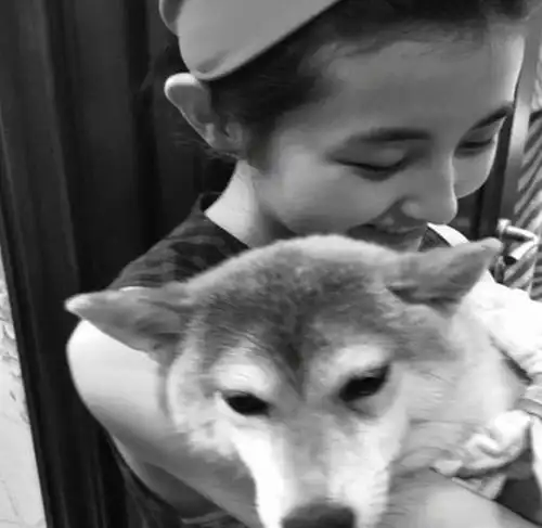 别担心!张子枫晒养狗生活照,一起出行一起睡觉画风很幸福!