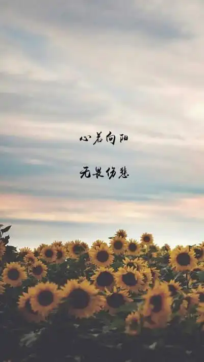 励志 图片评论 0条  收集   点赞  评论  原创手写 自制壁纸 文字