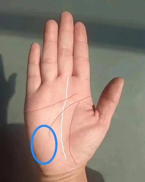 月丘而来的帮扶纹,能得贵人指点迷津,延续自己强运.