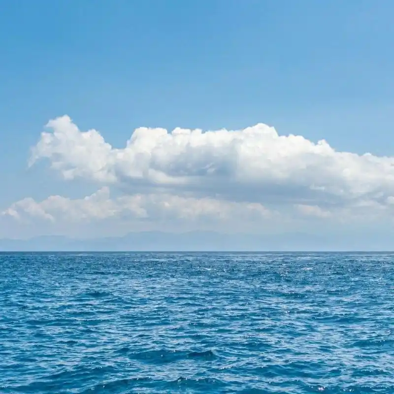 分享大海头像与壁纸! 希望看到的你们牛年都能幸福快乐!