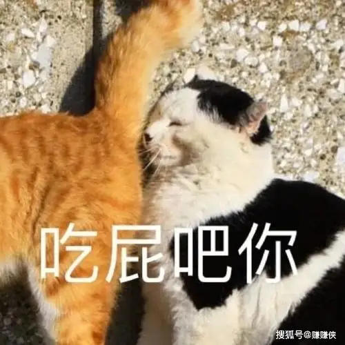 搞笑表情包图片笑死不偿命