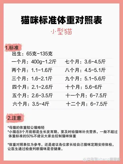 新手养猫必备75猫咪体重标准对照表