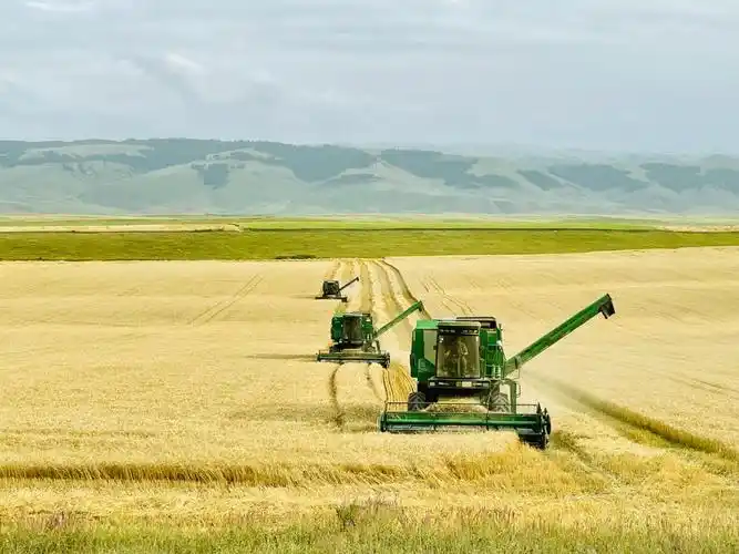 多图!这个秋天满眼都是幸福 |丰收节快乐