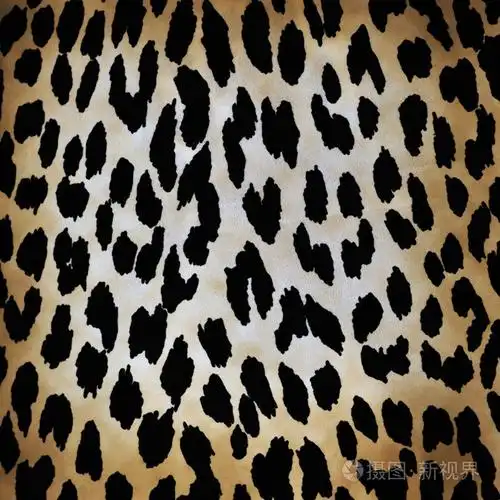 豹子图案