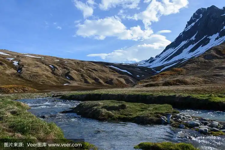 地形,海洋,海港,南乔治亚岛,自然
